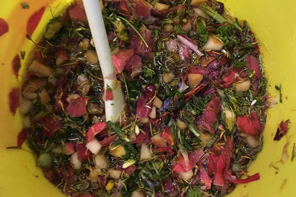 Eco Brew Workshop