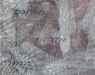 Detail from NSV 11 (nososcarida viscosa) by Guillermo Galindo