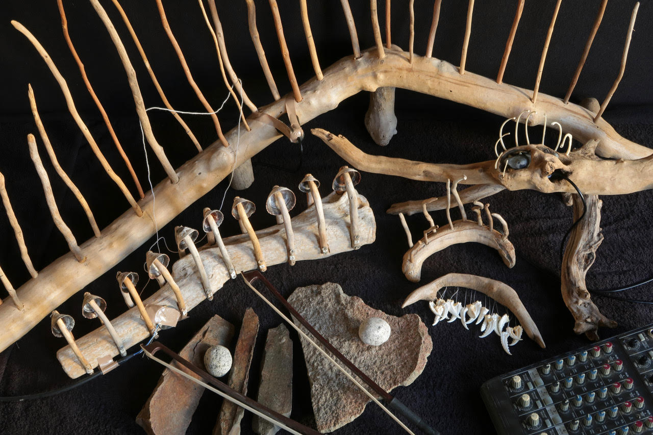 Cheryl Leonard instruments