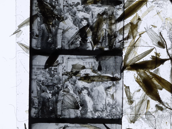 Material Cinema Workshop with Ellie Vanderlip